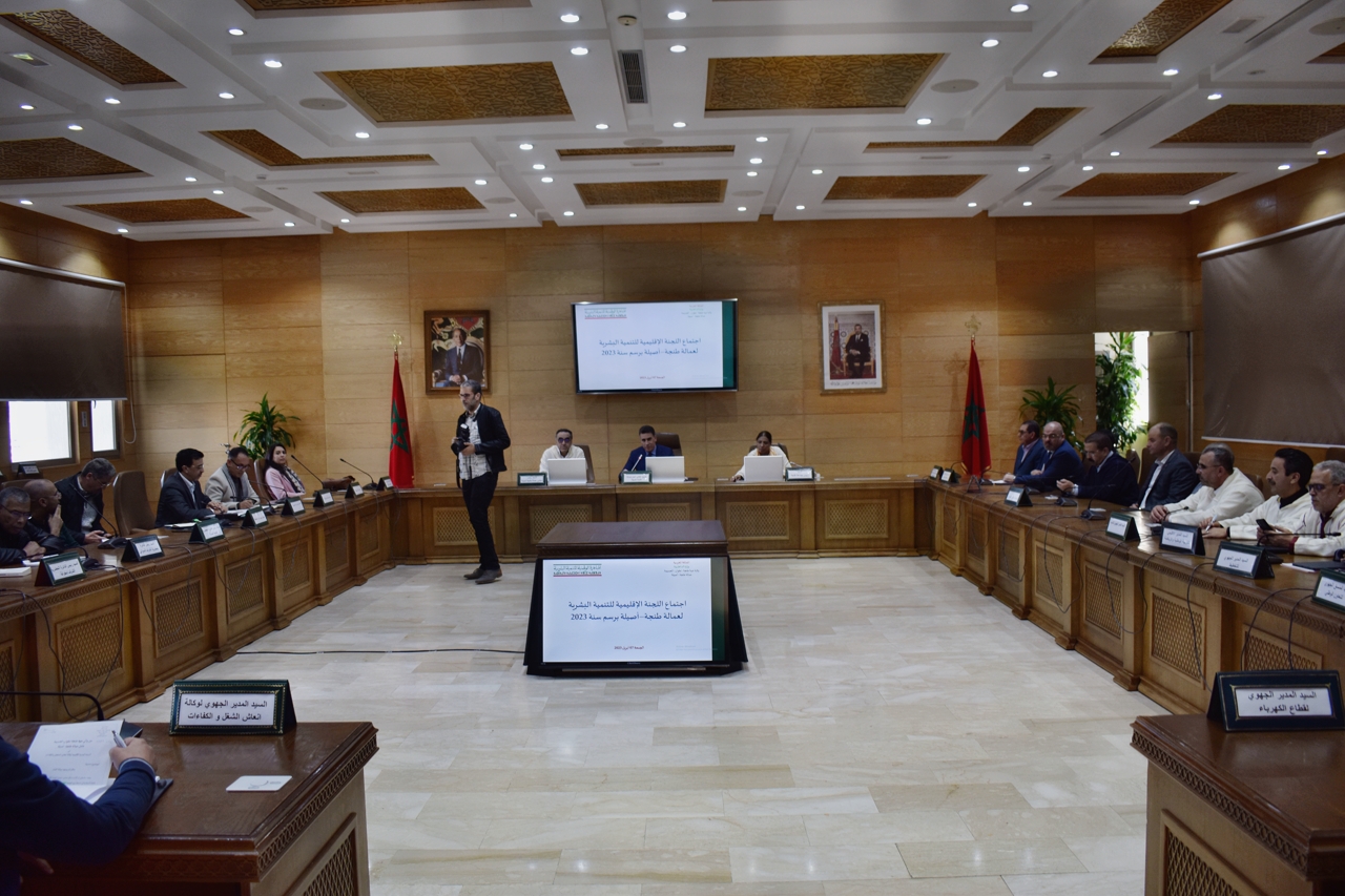 Tanger-Assilah: le CPDH approuve 27 projets d’inclusion économique des jeunes