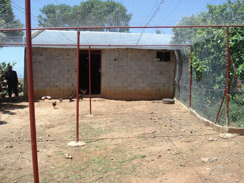 association-ain-harrari-8