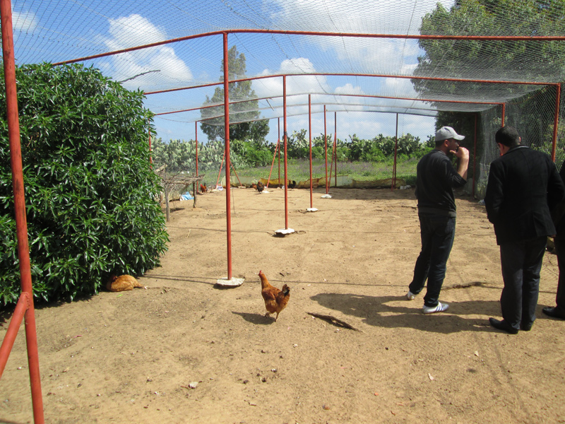 coopérative-aîn-harrari-5
