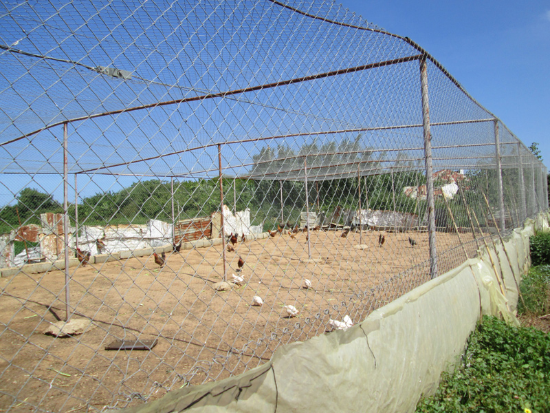 coopérative-aîn-harrari-6